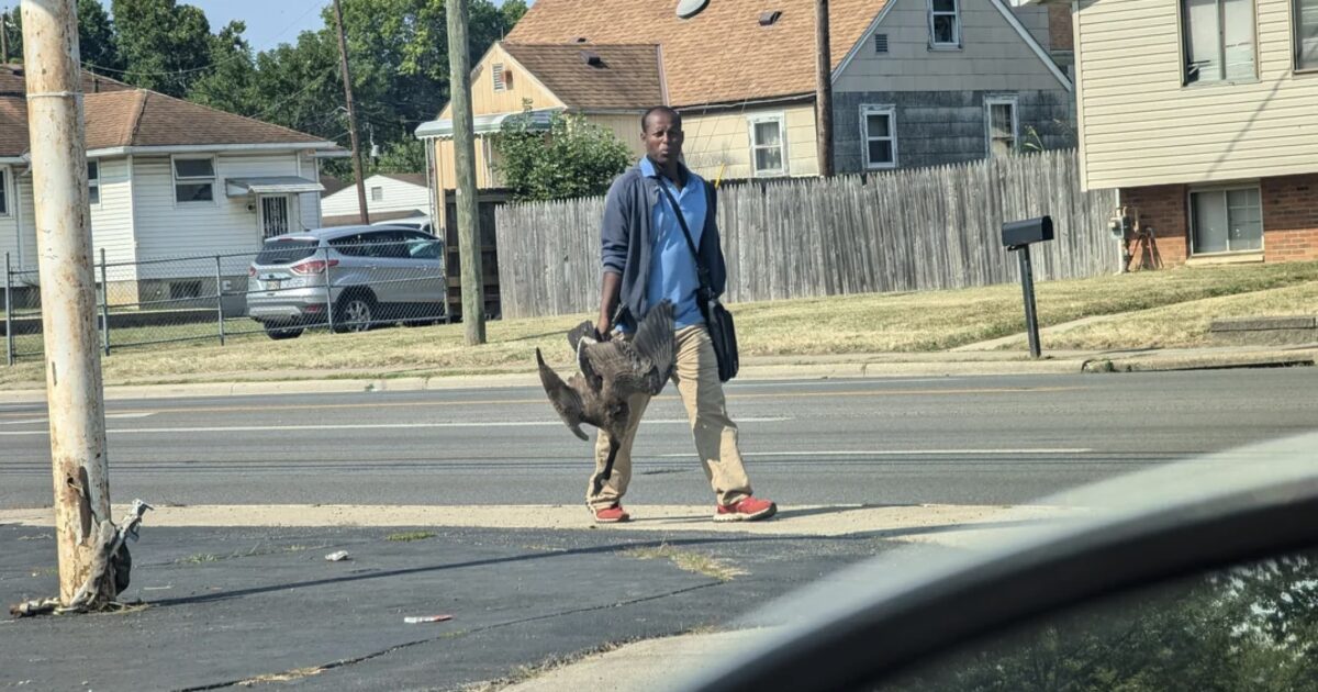 LISTEN: Leaked Audio of a 911 Call Reveals Springfield, Ohio Resident Reporting Group of Haitians Carrying Geese – Cristina Laila